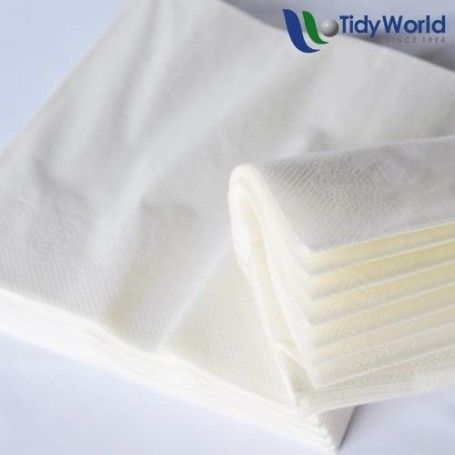 Serviettes 2 Ply (300x300mm) - x1000